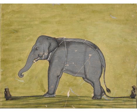 AN INDIAN MINIATURE PAINTING DEPICTING A CHAINED ELEPHANTIndia, 18th-19th century. The mighty animal standing foursquare, one
