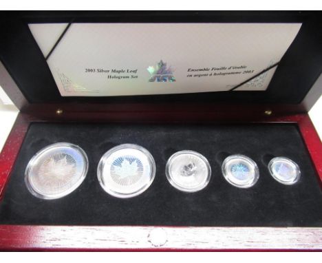 Two United States of America 1oz fine silver one dollar coins, in plastic sleeve 
