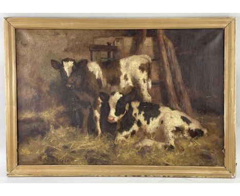 DAVID GAULD R.S.A. (Scottish, 1865-1936), oil on canvas - Ayrshire calves in a barn, signed, 50 x 75cm (unframed)Provenance: 