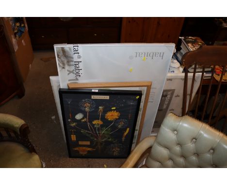 A coloured print of dandelions, another floral print and two Habitat picture frames
