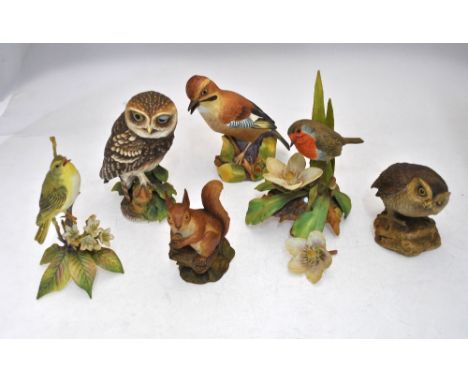 Four large Royal Worcester bone china models of British songbirds: &nbsp;Wood Warbler, limited edition 121, c. 1978, signed E