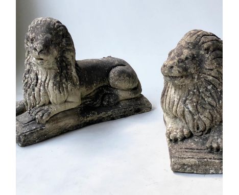 GARDEN/GATE LIONS, a pair, opposing reconstituted stone of lions recumbent, 41cm H x 59cm. (2) 