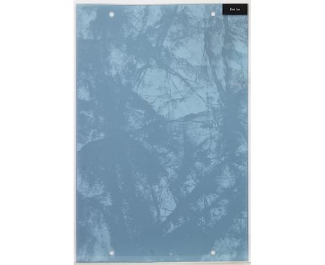 LUCINDA WILKINSON, BLUE ICE PATTERNS screenprinted glass panel 60cm x 92cm Unframed