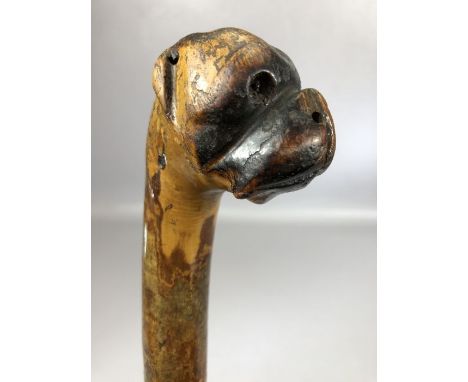 Carved wooden walking stick with head of a boxer or bulldog to handle