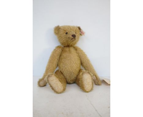 Steiff teddy bear with tags 