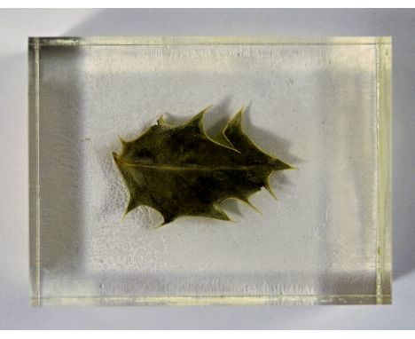 Henri Chopin, French 1922-2002- "Portrait of Franco"; single holly leaf in lucite block, multiple, publ by Edition Hundertmar