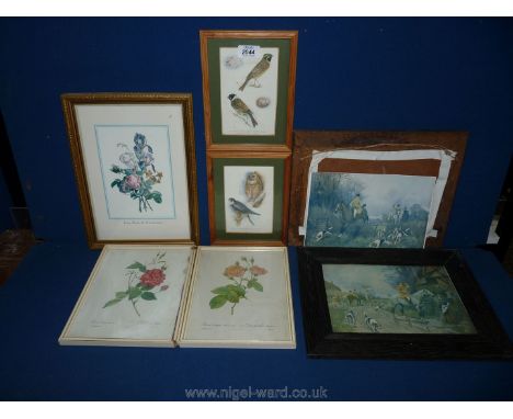 A quantity of Prints including two by Sanderson Wills, three Botanical prints and two bird prints.