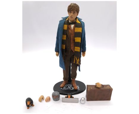 Star Ace Fantastic Beast 1/6 Scale Newt Scamander Figure. Excellent (Unchecked if Complete)