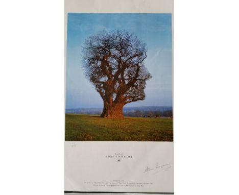 POP MUSIC, Pink Floyd, colour print, The Tree of Half Life, as appeared in the book Mind Over Matter - The Images of Pink Flo