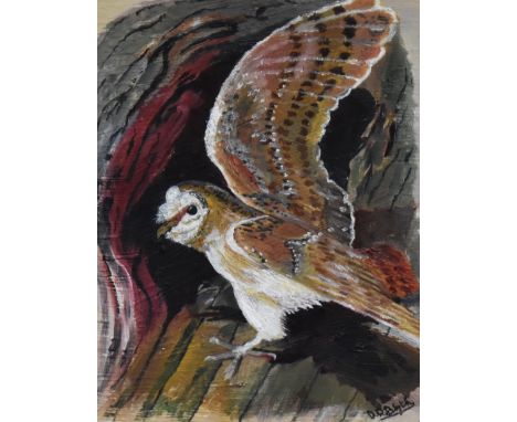 D.R. Blyth (20th Century), oil on board, A portrait of a barn owl, signed to the lower right, displayed within a moulded gilt