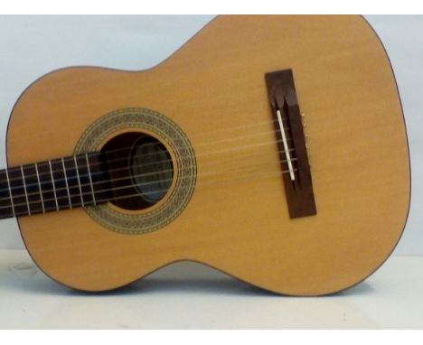 Acoustic guitar Squier by Fender, 20th anniversary, with soft case