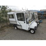 Carryall Golf Cart