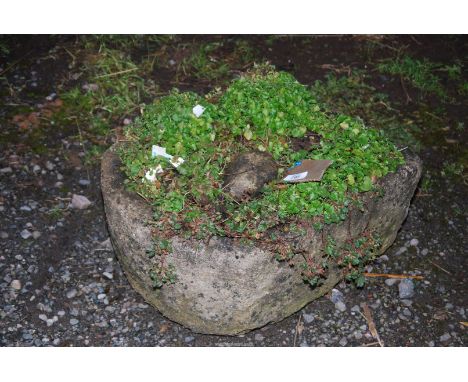 A D-shaped concrete planter, 19" x 16" x 8".