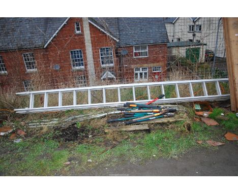 Double extending ladder.