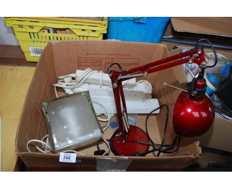 An angle poised lamp, another lamp and a quantity of extension leads, etc.