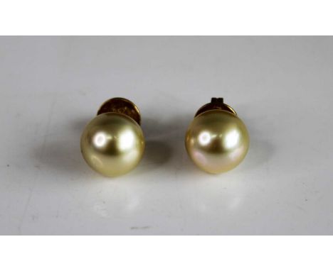A pair of yellow metal Golden South Sea pearl stud earrings by Schoeffel, each featuring a 10.9mm Golden South Sea pearl with
