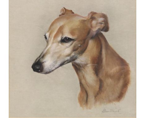 English School (C20th); Portrait of a lurcher, head and neck, watercolour heightened with white, indistinctly signed in penci