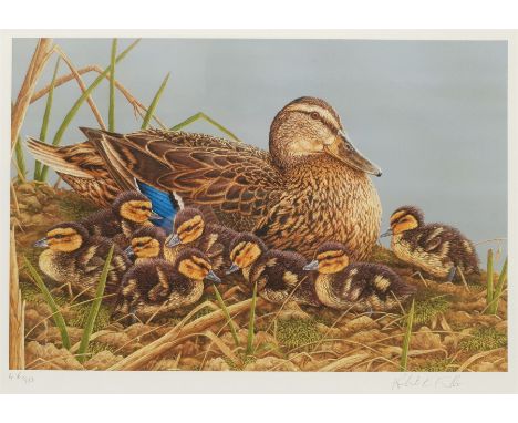 Robert E Fuller (British 1972-): Study of a Duck and Ducklings, limited edition colour print signed and numbered 46/850 in pe
