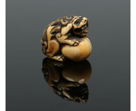 A Japanese Edo period carved ivory netsuke. Formed as a shi shi dog guarding a pearl, 3.25cm. Condition Report. To be used as