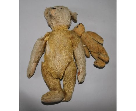 Two Steiff teddy bears