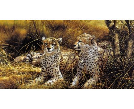 MICHAEL JACKSON (BRITISH 1961), 'Cheetahs', a limited edition print 68/95, signed and numbered in pencil, with certificate, u