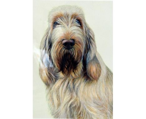 NIGEL HEMMING (BRITISH, 20TH CENTURY) 'White and Orange Italian Spinone' a limited edition print 18/200 of a dog portrait, si