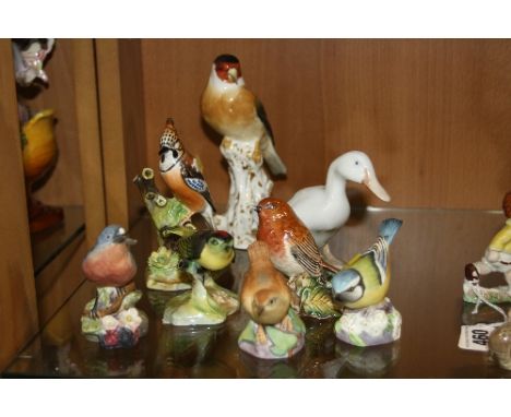 VARIOUS BIRD FIGURES, to include Royal Worcester 'Goldfinch' No 2667, 'Blue Tit' No 3199, 'Wren' 3198 and 'Blue Bird' No 3649