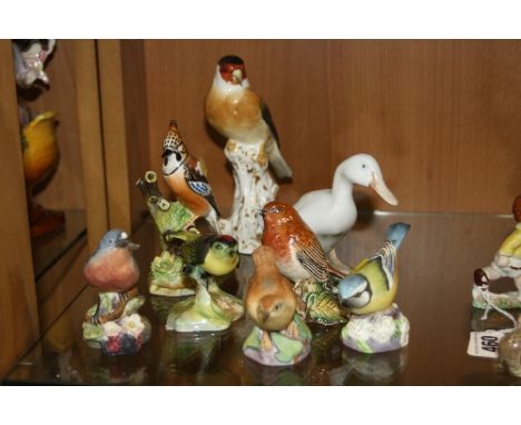 VARIOUS BIRD FIGURES, to include Royal Worcester 'Goldfinch' No 2667, 'Blue Tit' No 3199, 'Wren' 3198 and 'Blue Bird' No 3649