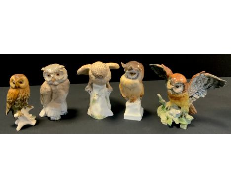 A Crown Staffordshire Hawk Owl model, signed to base, T. Miller, 19cm high;  a Nao Eagle owl, boxed;  another, Lladro type lo