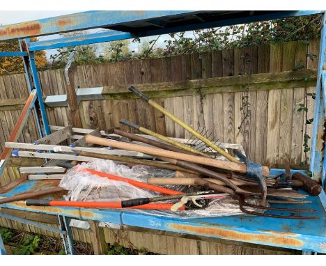 Metal steps &amp; quantity of garden tools, condition requests and additional images will not be given for lots in this sale 