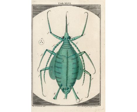 -- "One of the most beautiful microscopical works issued during the XVIII. century" -- Ledermüller, Martin Frobenius. Mikrosk
