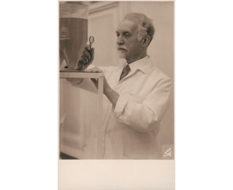Cori, Carl Isidor, böhmisch-österr. Zoologe, Professor in Prag, langjähriger Leiter der k. u. k. Zoologischen Station in Trie