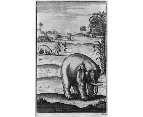 Fleming, Hans Friedrich von. Der vollkommene teutsche Jäger. Darinnen die Erde, Gebürge, Kräuter und Bäume, Wälder, Eigenscha