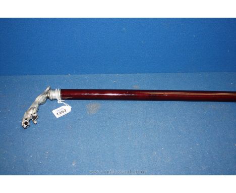 A wooden walking Stick with metal Jaguar handle