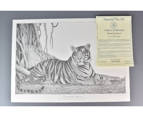 David Dancey-Wood limited edition lithograph print, hand signed and numbered by David Dancey-Wood, published by Hawksbill Fin