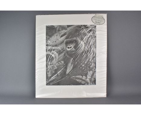 Clive Meredith limited edition print 'Silverback' - Male Western Lowland Gorilla' nr 42/595 with certificate to back of mount