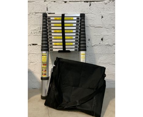 A compact telescopic aluminium eleven rug ladder
