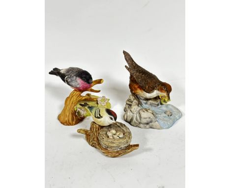 A Renaissance British Birds bisque figure, a Dipper, decorated with polychrome enamels, (h 13cm x 13cm) and a bisque Renaissa