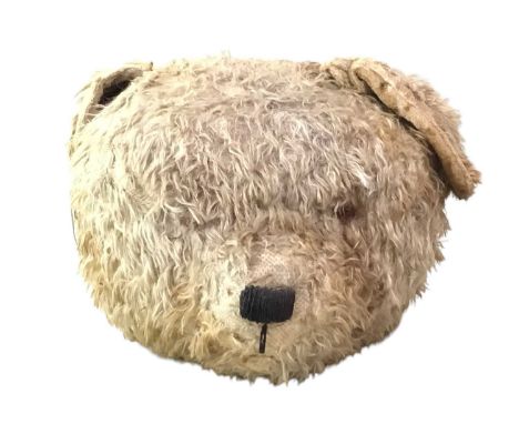 LARGE VINTAGE BEAR, possibly continental, lacking labels