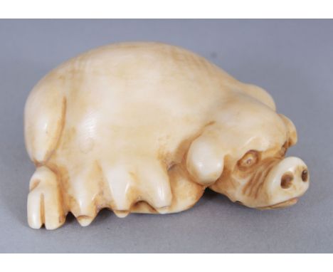 AN EARLY 20TH CENTURY SIGNED JAPANESE IVORY NETSUKE OF A RECLINING SOW, the base with an engraved signature, 4cm wide, 2.2cm 