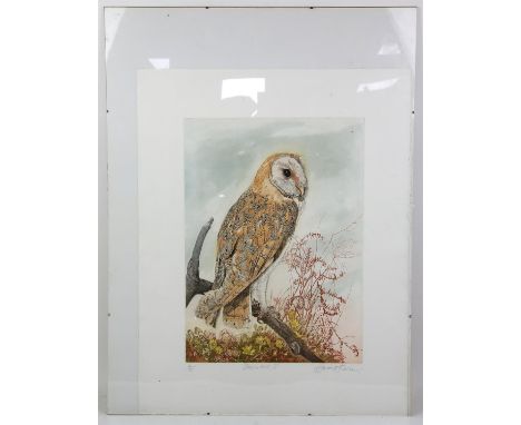 David Koster (1926-2014), young African Eagle Owls, Artists proof, signed and titled in pencil, 73cm x 50cm, and another limi