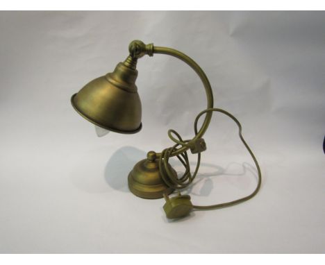 A brass desk lamp 