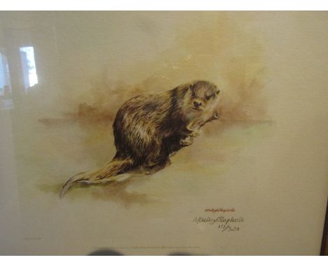 Maudy Shepherd (b1960), limited edition print (117/320), portrait of an otter, made for the RNSC, signed in pencil lower righ