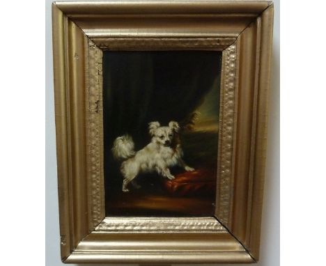 19th Century English School/Portrait of a White Lap Dog/oil on board, 16.5cm x 11cm Condition Report: Very small area of pain