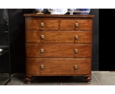 antique English Regency chest of drawers in mahogany with typical lion's head grips || Antieke Engelse Regency-commode met ge