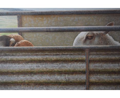 Alan Stones 'Take Stock', 8 colour lithograph of a sheep handling scene, framed and mounted, 36cm x 51cm, signed in pencil to