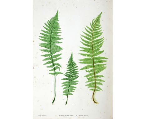 Moore, Thomas. The Ferns of Great Britain and Ireland... edited by John Lindley, first edition, 51 nature-printed plates by H