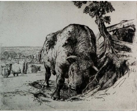 Charles Frederick Tunnicliffe OBE RA (1901-1979) The Bull, 1926, signed in pencil bottom right, numbered 66/75, measurements 