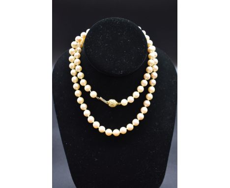 A cultured pearl necklace, having 18ct gold clasp, stamped 'CPJ', 70cm. 