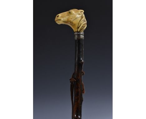 A 19th century novelty walking stick, the pommel carved as a horse's head, gilt-brass ferrule, gnarly wood shaft, 93cm long 